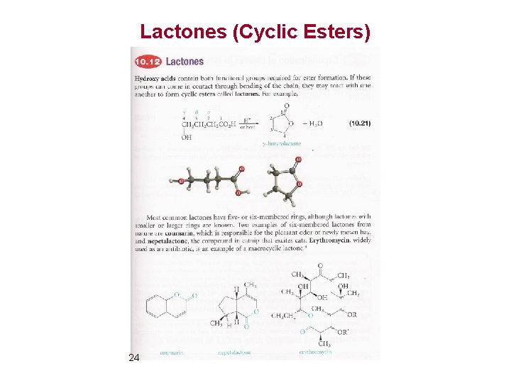 Lactones (Cyclic Esters) 24 