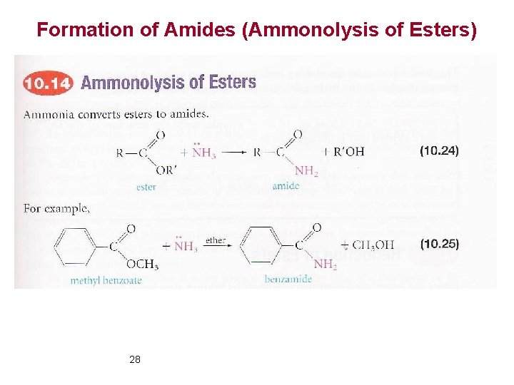 Formation of Amides (Ammonolysis of Esters) 28 