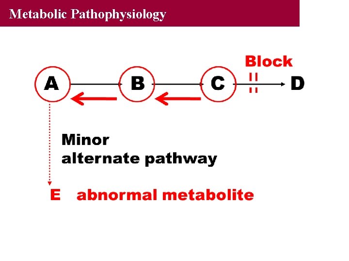 Metabolic Pathophysiology 