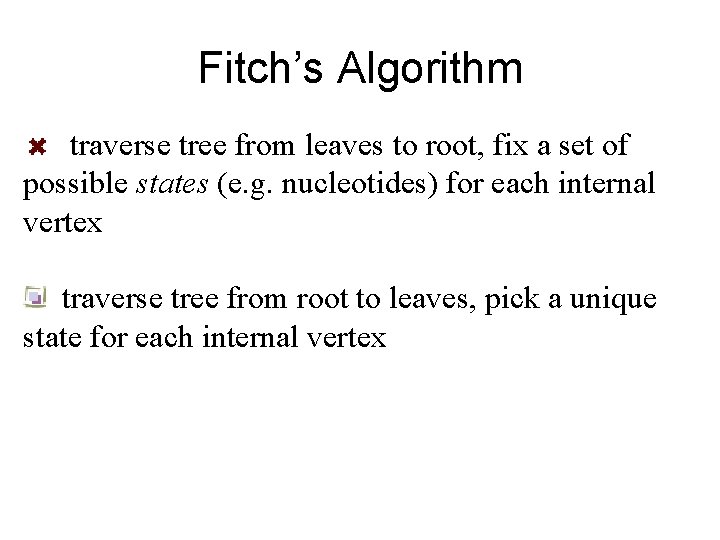 Fitch’s Algorithm traverse tree from leaves to root, fix a set of possible states Fitch’s Algorithm traverse tree from leaves to root, fix a set of possible states