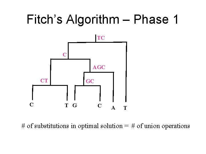 Fitch’s Algorithm – Phase 1 TC C AGC CT C GC T G C Fitch’s Algorithm – Phase 1 TC C AGC CT C GC T G C