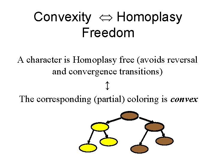 Convexity Homoplasy Freedom A character is Homoplasy free (avoids reversal and convergence transitions) ↕ Convexity Homoplasy Freedom A character is Homoplasy free (avoids reversal and convergence transitions) ↕