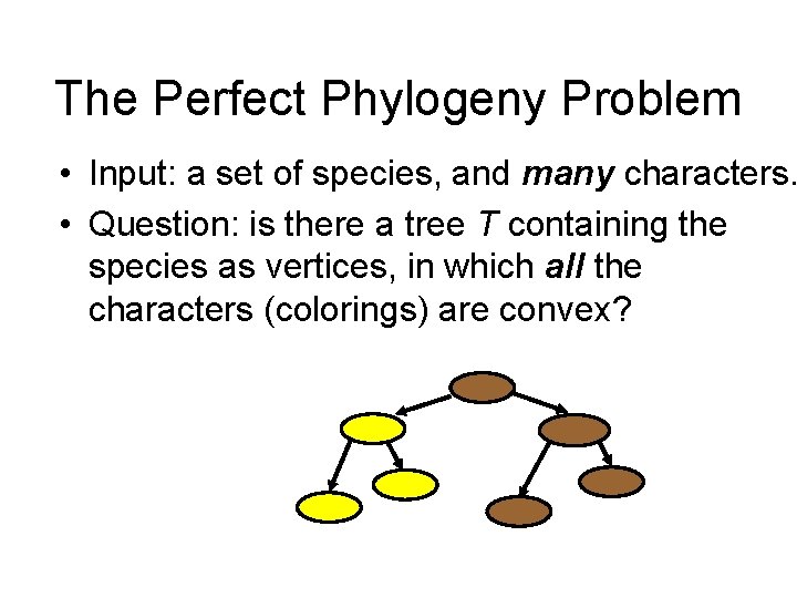 The Perfect Phylogeny Problem • Input: a set of species, and many characters. • The Perfect Phylogeny Problem • Input: a set of species, and many characters. •