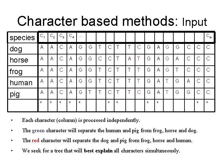 Character based methods: Input species C 1 C 2 C 3 C 4 … Character based methods: Input species C 1 C 2 C 3 C 4 …