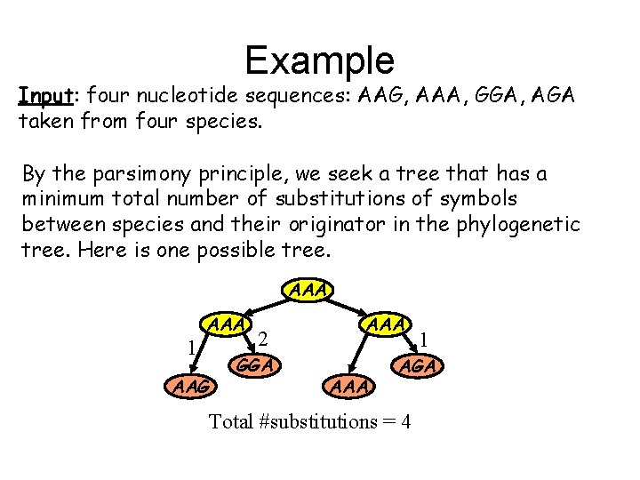 Example Input: four nucleotide sequences: AAG, AAA, GGA, AGA taken from four species. By Example Input: four nucleotide sequences: AAG, AAA, GGA, AGA taken from four species. By
