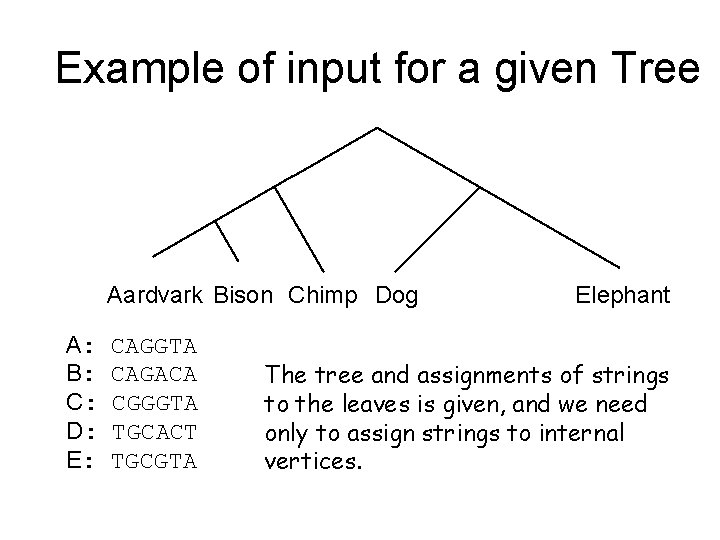 Example of input for a given Tree Aardvark Bison Chimp Dog A: B: C: Example of input for a given Tree Aardvark Bison Chimp Dog A: B: C: