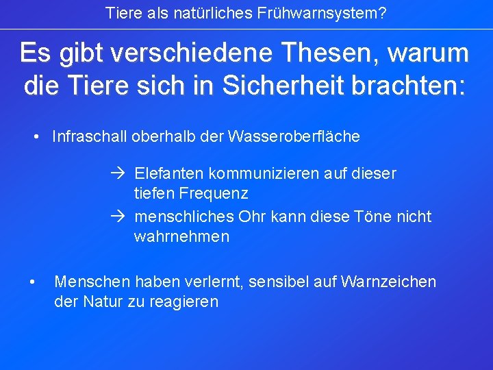 Tiere als natürliches Frühwarnsystem? Es gibt verschiedene Thesen, warum die Tiere sich in Sicherheit