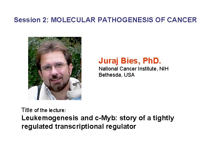 Session 2: MOLECULAR PATHOGENESIS OF CANCER Juraj Bies, Ph. D. National Cancer Institute, NIH