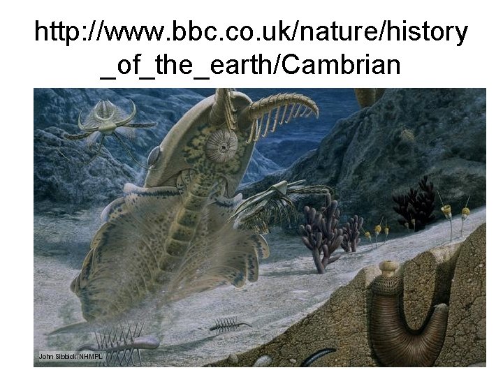 http: //www. bbc. co. uk/nature/history _of_the_earth/Cambrian 