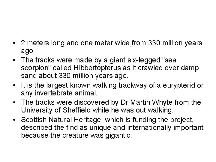  • 2 meters long and one meter wide, from 330 million years ago.
