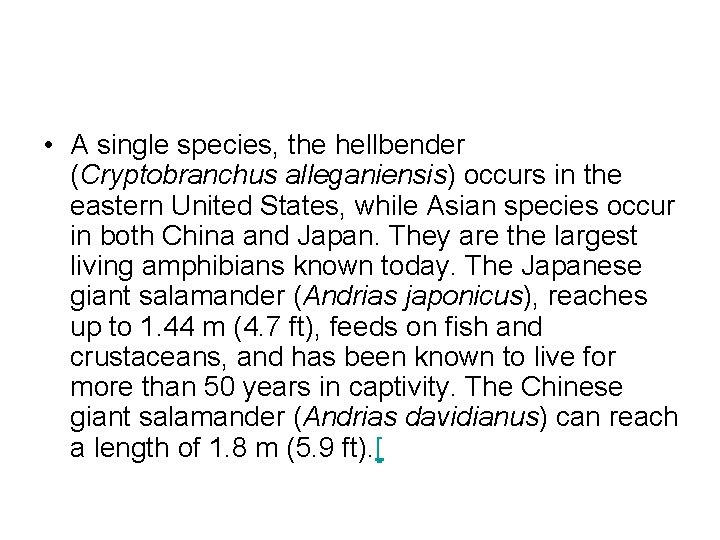  • A single species, the hellbender (Cryptobranchus alleganiensis) occurs in the eastern United