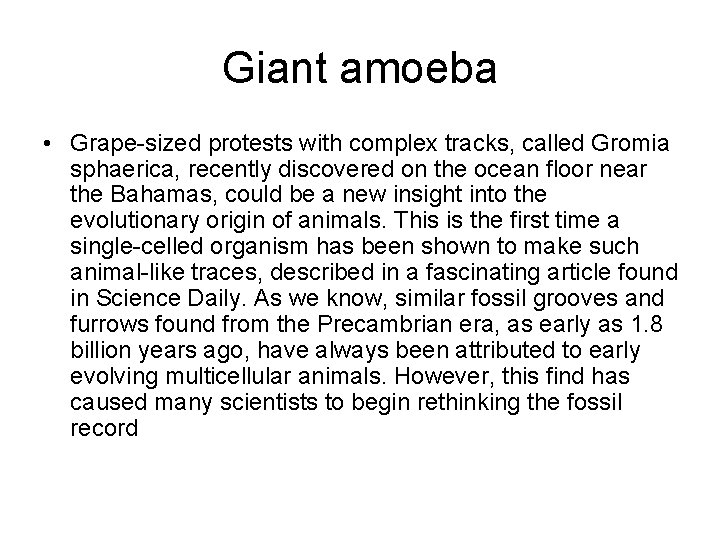 Giant amoeba • Grape-sized protests with complex tracks, called Gromia sphaerica, recently discovered on