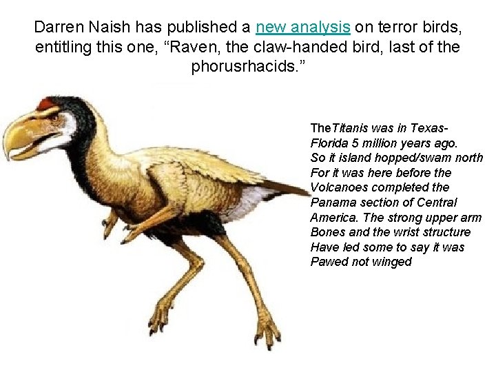 Darren Naish has published a new analysis on terror birds, entitling this one, “Raven,