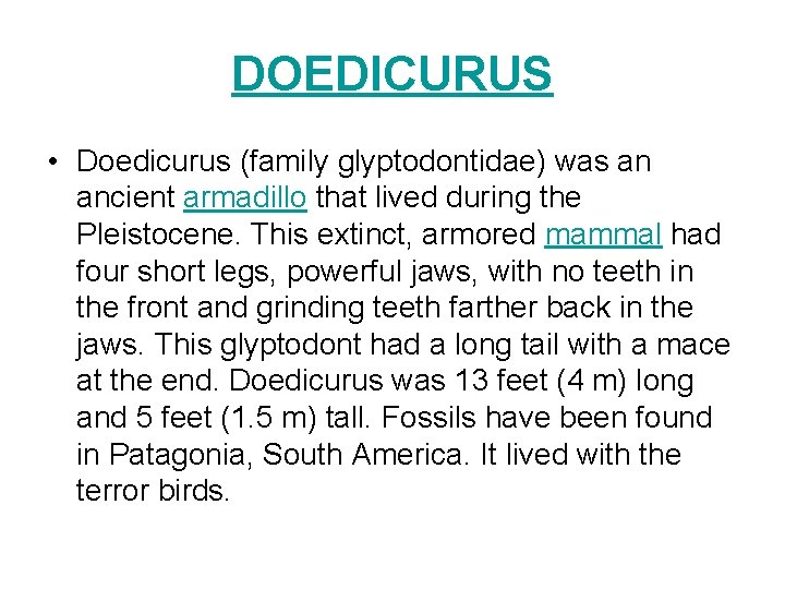 DOEDICURUS • Doedicurus (family glyptodontidae) was an ancient armadillo that lived during the Pleistocene.