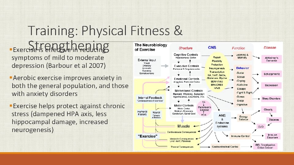 Training: Physical Fitness & Strengthening §Exercise is effective in reducing symptoms of mild to