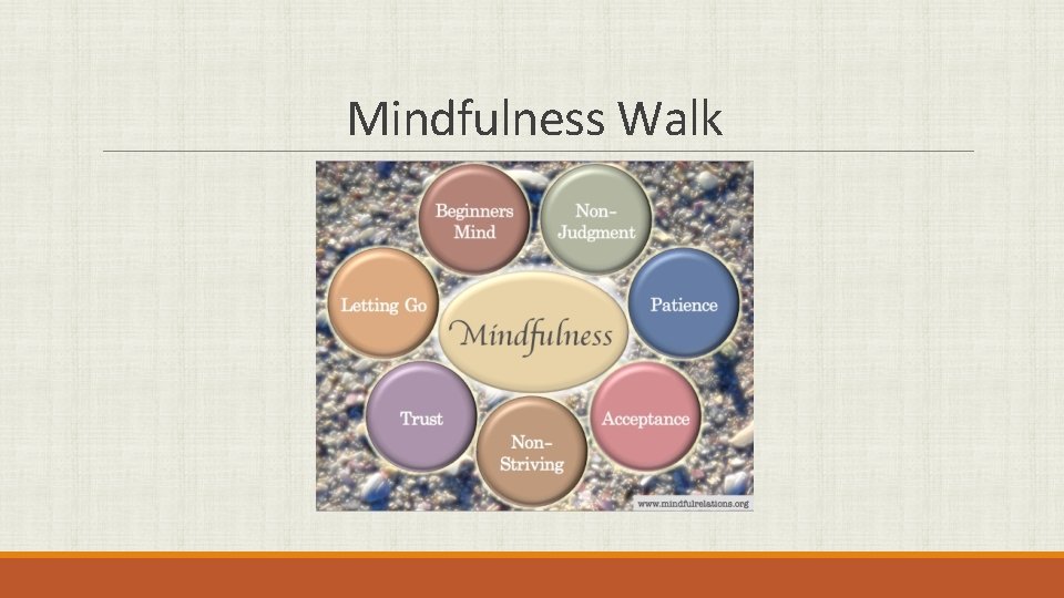 Mindfulness Walk 