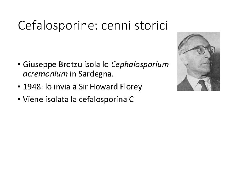 Cefalosporine: cenni storici • Giuseppe Brotzu isola lo Cephalosporium acremonium in Sardegna. • 1948: