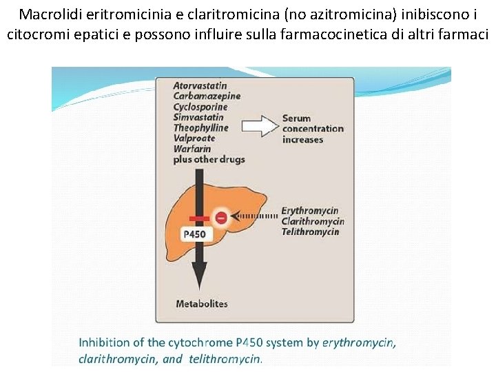 Macrolidi eritromicinia e claritromicina (no azitromicina) inibiscono i citocromi epatici e possono influire sulla