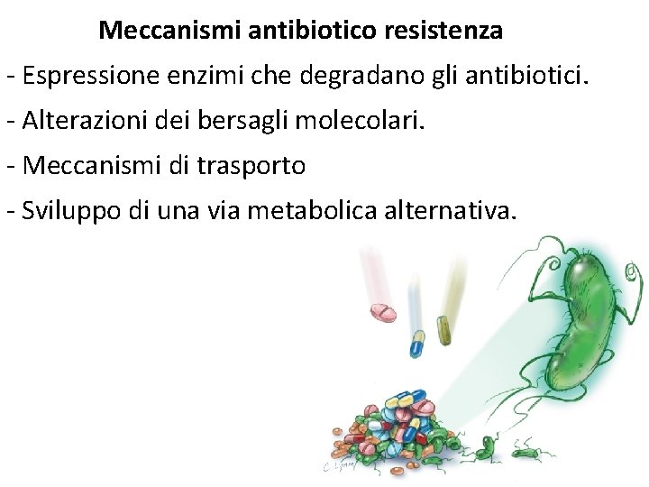 Meccanismi antibiotico resistenza - Espressione enzimi che degradano gli antibiotici. - Alterazioni dei bersagli