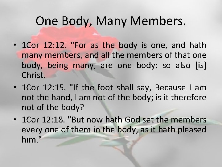 One Body, Many Members. • 1 Cor 12: 12. "For as the body is