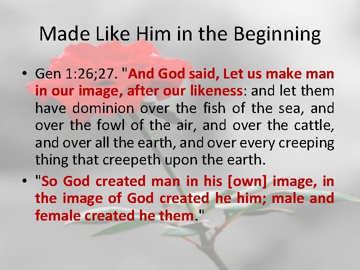 Made Like Him in the Beginning • Gen 1: 26; 27. "And God said,