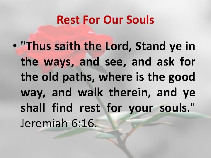 Rest For Our Souls • "Thus saith the Lord, Stand ye in the ways,