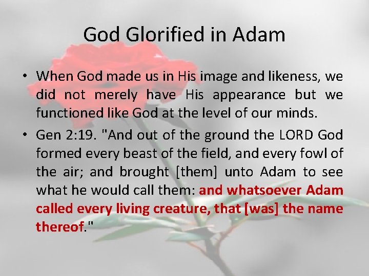 God Glorified in Adam • When God made us in His image and likeness,