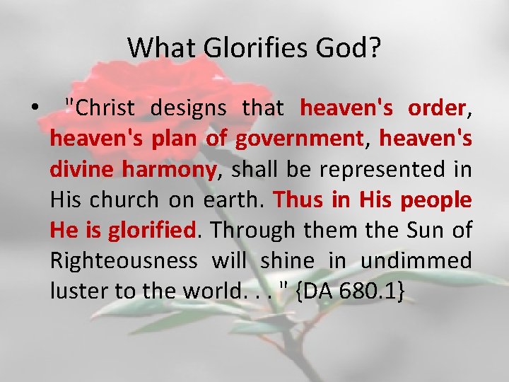 What Glorifies God? • "Christ designs that heaven's order, heaven's plan of government, heaven's