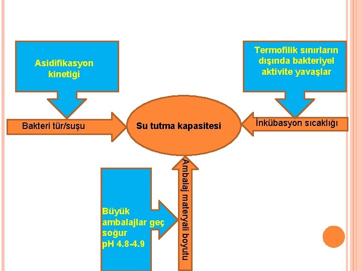 Termofilik sınırların dışında bakteriyel aktivite yavaşlar Asidifikasyon kinetiği Bakteri tür/suşu Su tutma kapasitesi Ambalaj