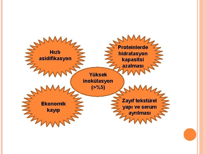 Proteinlerde hidratasyon kapasitsi azalması Hızlı asidifikasyon Yüksek inokülasyon (>%5) Ekonomik kayıp Zayıf tekstürel yapı