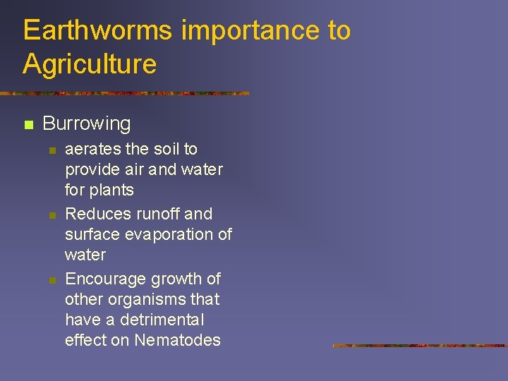 Earthworms importance to Agriculture n Burrowing n n n aerates the soil to provide
