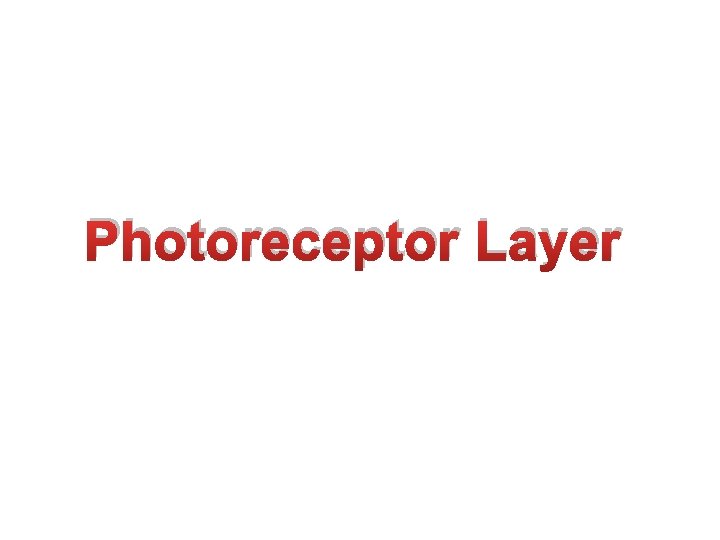 Photoreceptor Layer 