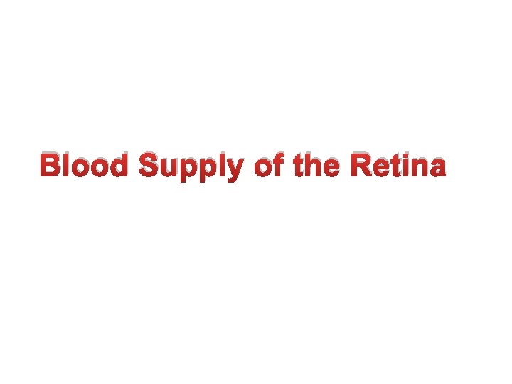 Blood Supply of the Retina 