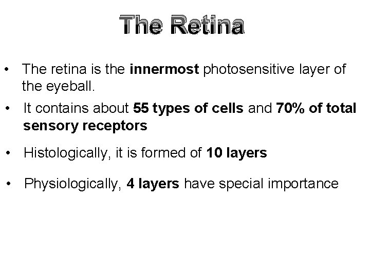 The Retina • The retina is the innermost photosensitive layer of the eyeball. •