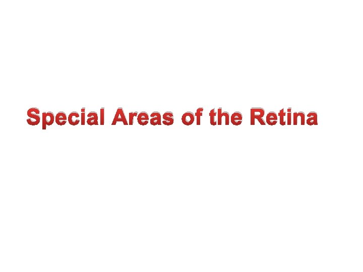 Special Areas of the Retina 