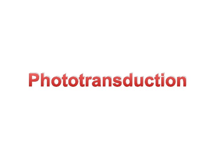 Phototransduction 
