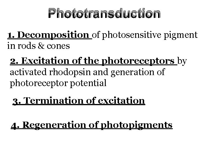 Phototransduction 1. Decomposition of photosensitive pigment in rods & cones 2. Excitation of the