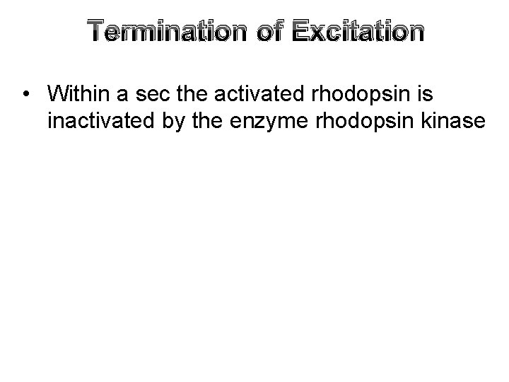 Termination of Excitation • Within a sec the activated rhodopsin is inactivated by the