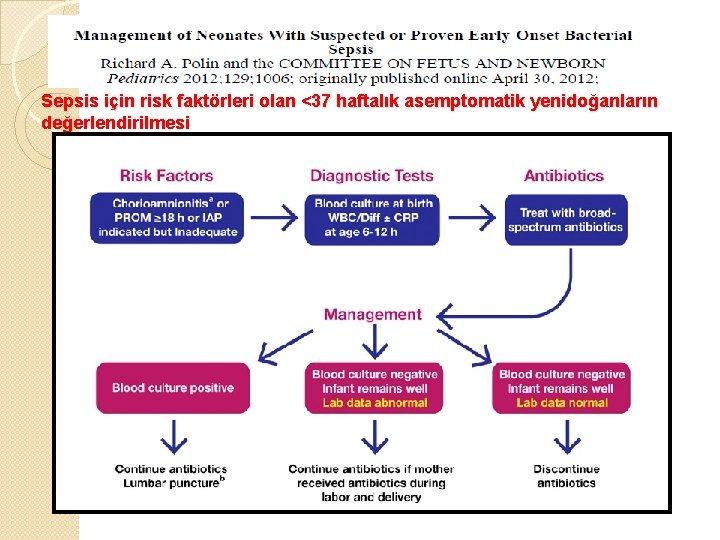 Sepsis için risk faktörleri olan <37 haftalık asemptomatik yenidoğanların değerlendirilmesi 
