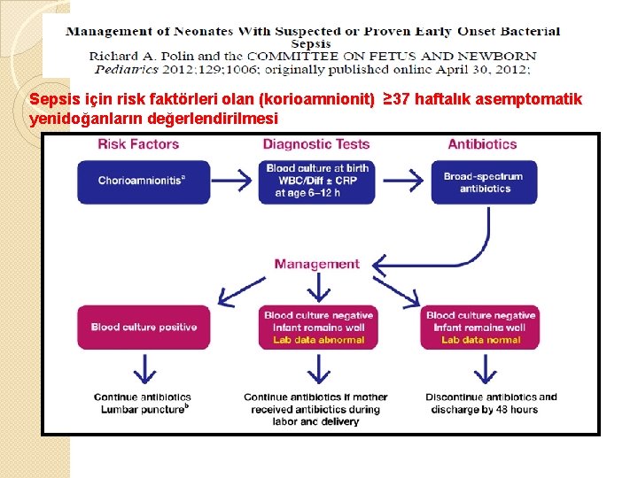 Sepsis için risk faktörleri olan (korioamnionit) ≥ 37 haftalık asemptomatik yenidoğanların değerlendirilmesi 