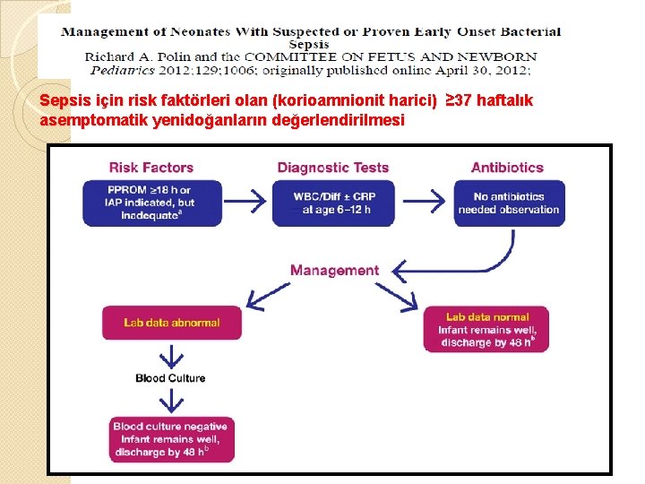 Sepsis için risk faktörleri olan (korioamnionit harici) ≥ 37 haftalık asemptomatik yenidoğanların değerlendirilmesi 