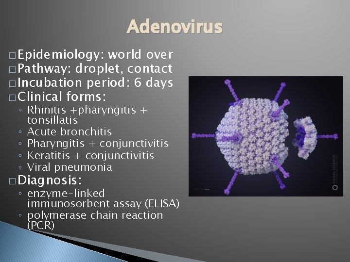 Adenovirus � Epidemiology: world over � Pathway: droplet, contact � Incubation period: 6 days