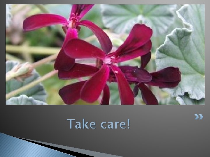 Take care! 