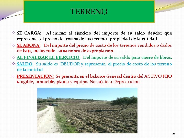 TERRENO v SE CARGA: Al iniciar el ejercicio del importe de su saldo deudor