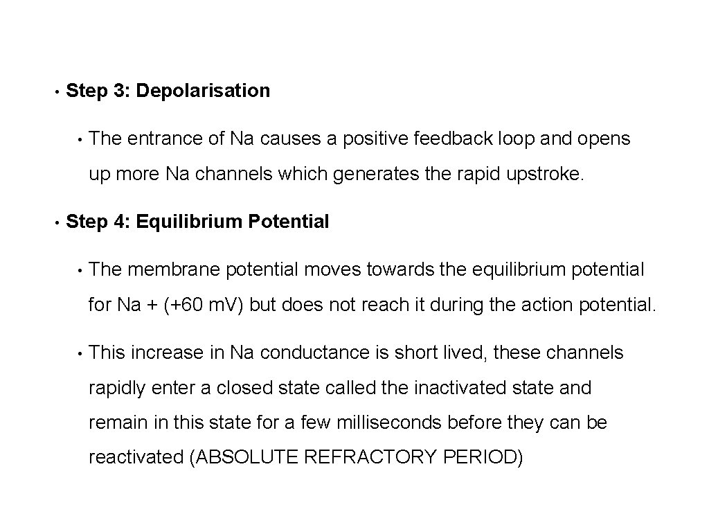  • Step 3: Depolarisation • The entrance of Na causes a positive feedback