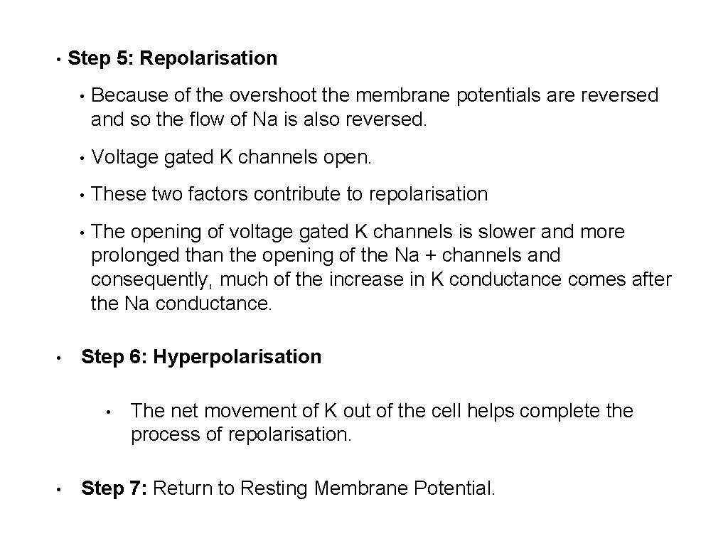  • • Step 5: Repolarisation • Because of the overshoot the membrane potentials