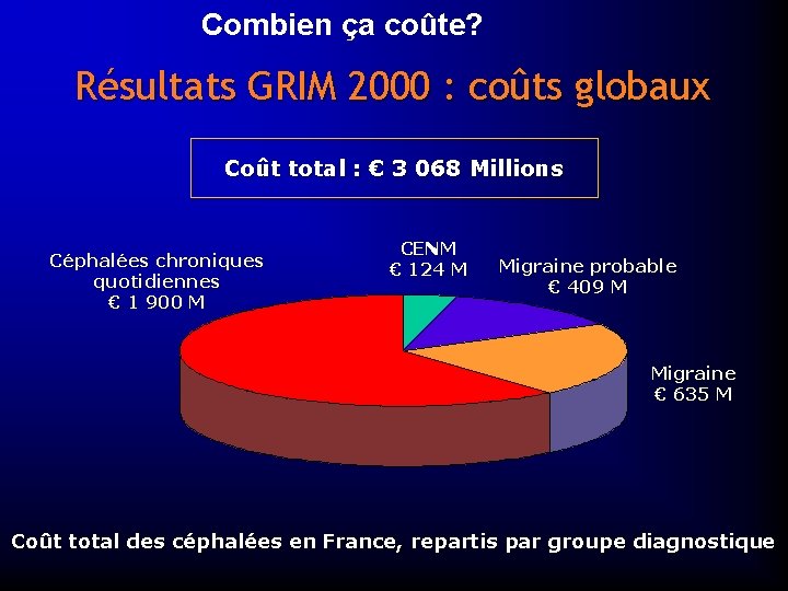 Combien ça coûte? Résultats GRIM 2000 : coûts globaux Coût total : € 3
