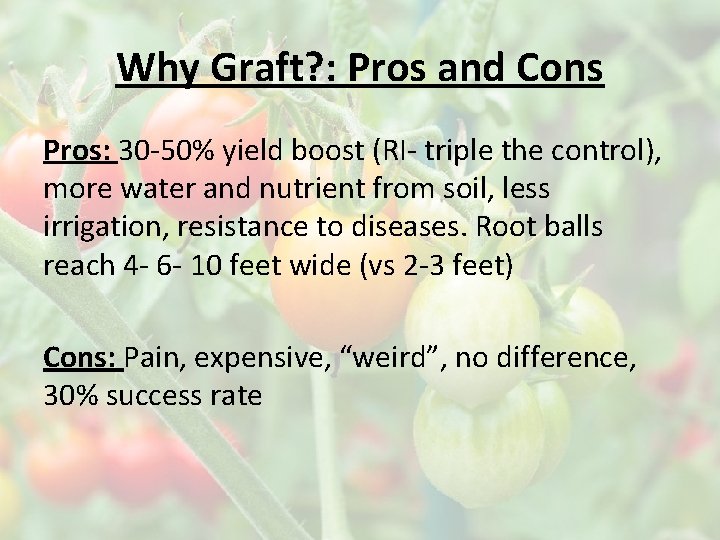Why Graft? : Pros and Cons Pros: 30 -50% yield boost (RI- triple the