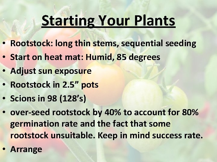 Starting Your Plants Rootstock: long thin stems, sequential seeding Start on heat mat: Humid,