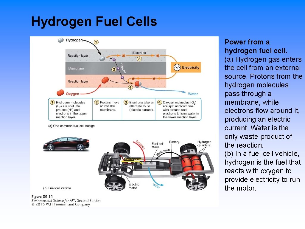  Hydrogen Fuel Cells Power from a hydrogen fuel cell. (a) Hydrogen gas enters